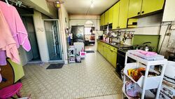 Blk 10 Holland Vista (Queenstown), HDB 4 Rooms #539295631
